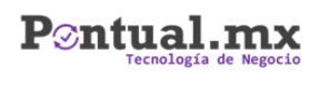 Pontual Tecnología de Negocio